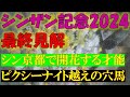 シンザン記念2024　最終見解