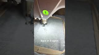 They say practice makes perfect! #embroidery #NQ1700E #brothersewingmachine