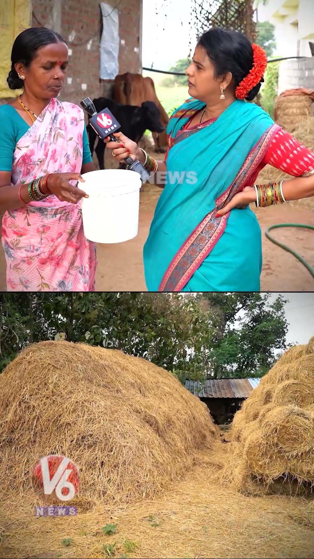 పెంచుకోడం కష్టం ఏ కానీ........కష్టపడాలి | Organic Village  Chandravva | V6 News