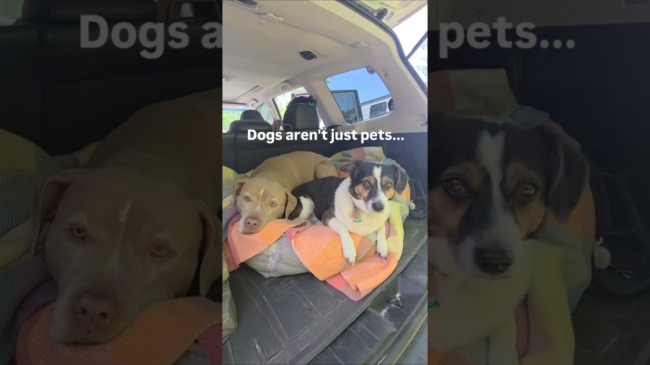 Because they are deserve more 