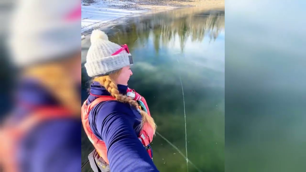 A whole school of fish!! 🤗 