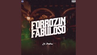 Forrozinho os Penetras