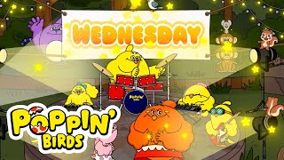 Days of the Week Song / POPPIN' BIRDS