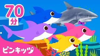 もっともっと🦈サメのかぞく＆人気曲メドレー | ロボット、リアル、8