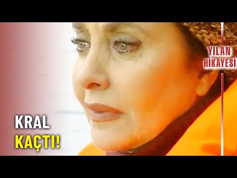 Belgin Yakalandı! - Yılan Hikayesi Özel Klip