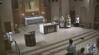 Thirteenth Sunday In Ordinary Time