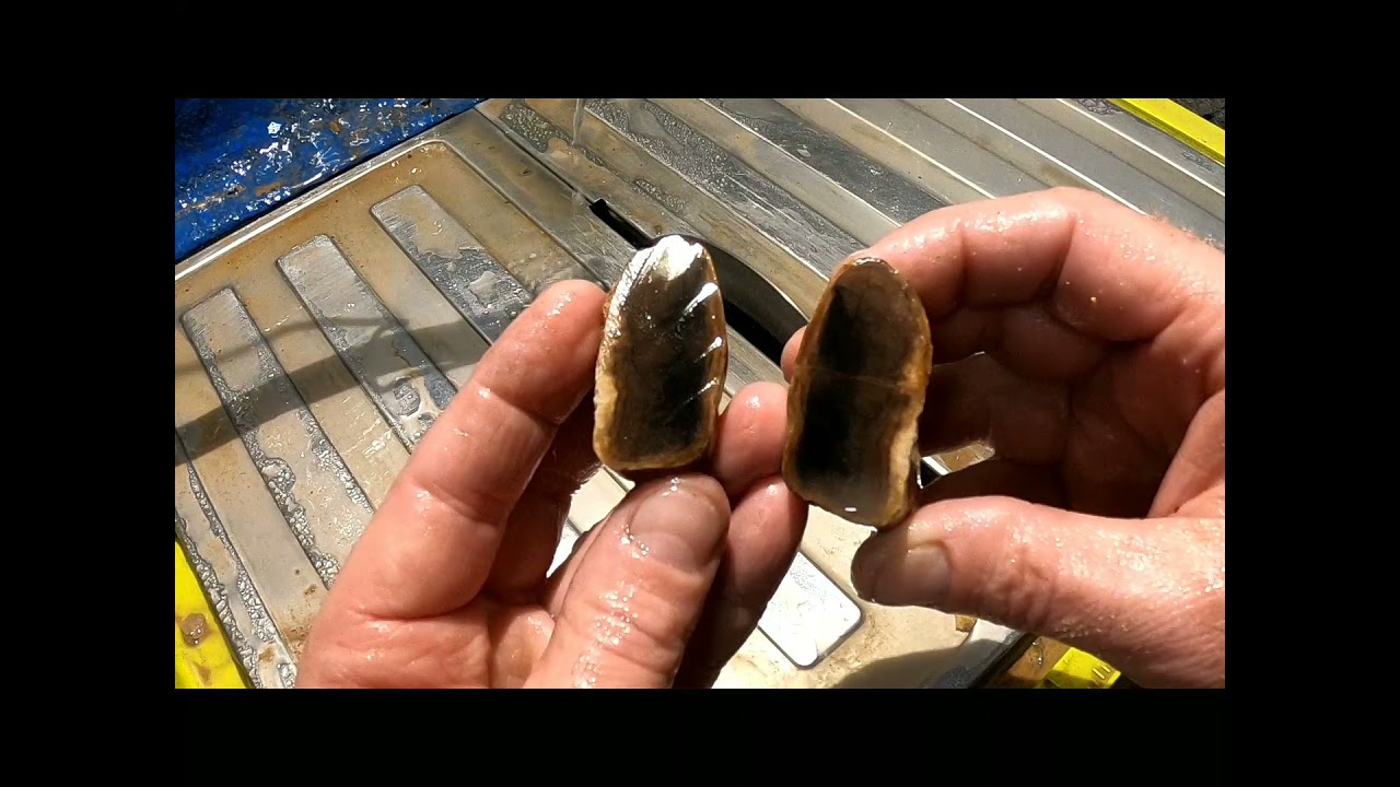 Cutting petrified wood on a tile saw YouTube