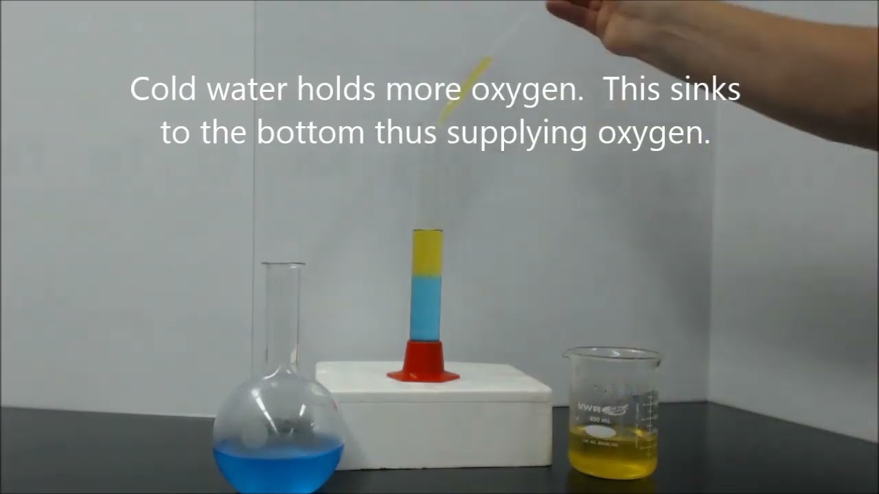 Density of Water - Layers.  Cold Water First