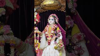Today’s Divine Sri Sri Radha Madhava Darshan 🌸 | Mayapur ISKCON | আজকের রাধা মাধবের অপূর্ব দর্শন 🙏