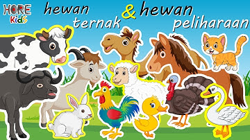 Belajar Mengenal Nama Hewan dan Suara Hewan Ternak | Mengenal Nama Binatang Ternak