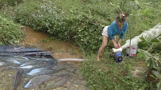 Full Video: Fishing Technology - Catches A Lot Of Fish With A Pump That Pulls Water Out Of Wild Lake