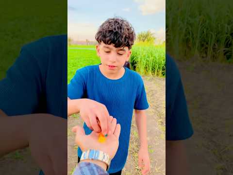 أي د الخير كسر خواطر   