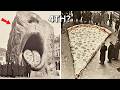 The 4th Primary Taste They Removed From Tongues — Before 1880 Everyone Could Taste It