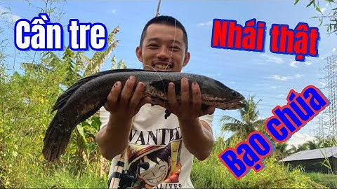 Câu cá lóc | lại là cần tre và cách móc nhái độc đáo | Rong Chơi Miền Tây #lurecaloc #fishing