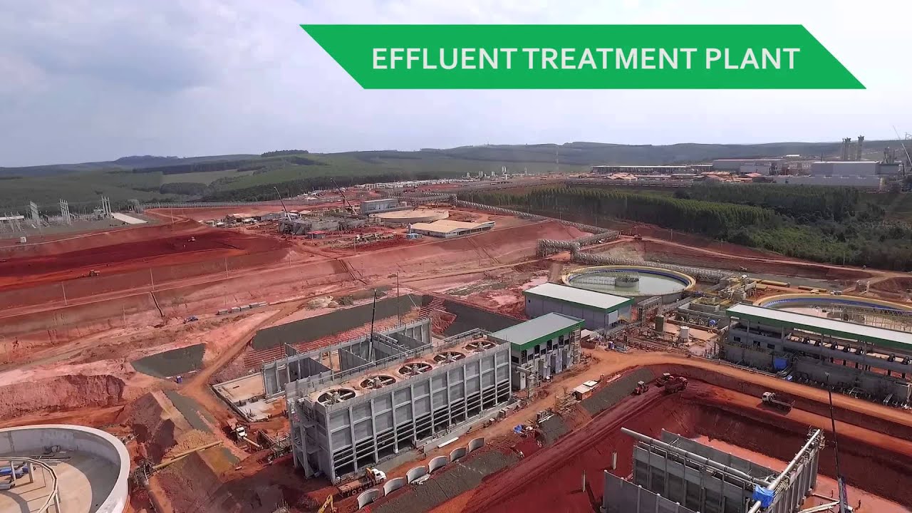 Klabin Puma Project - August 2015