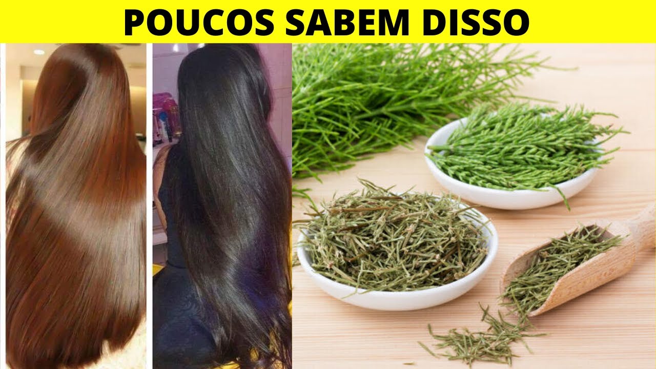 IMPRESSIONANTE!! TRATAMENTO para QUEBRA de CABELO CASEIRO – SEGREDO ...