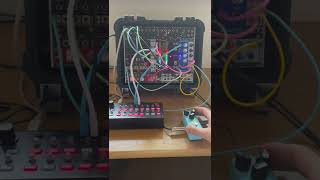 54 HP Eurorack & Melon Pan Chorus (Effects Bakery) #shorts