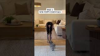 PART TWO-NEW PUPPY ESSENTIALS 
