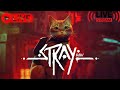 Livestreaming Stray! (Part 2)