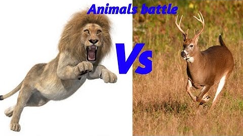 Upgrading NOOB T-REX in EVIL HACKER T-REX in Animal Revolt Battle Simulator with SHINCHAN FRANKLIN