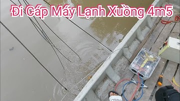Hướng dẫn đi cáp xiệt lạnh chuyên cá da trơn vẩy miền | Điện Tử Nguyễn Sự |