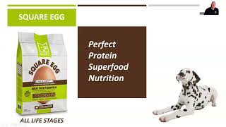 2025 Square Egg Video