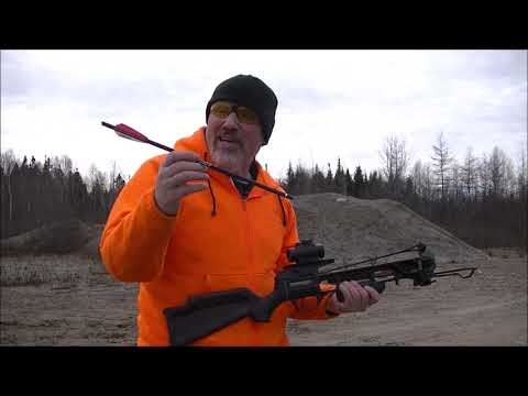 Testing out TEMU Crossbow Bolts, Target Shooting