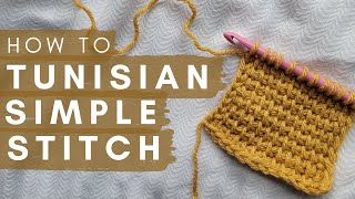 How to Tunisian Simple Stitch for ABSOLUTE Beginners | Easy Tunisian Crochet Video Tutorial