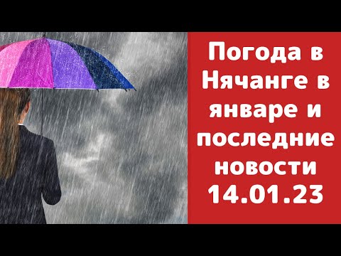 Погода в Нячанге на начало января 2023 / Дожди и экскурсии / Немного о печальном..