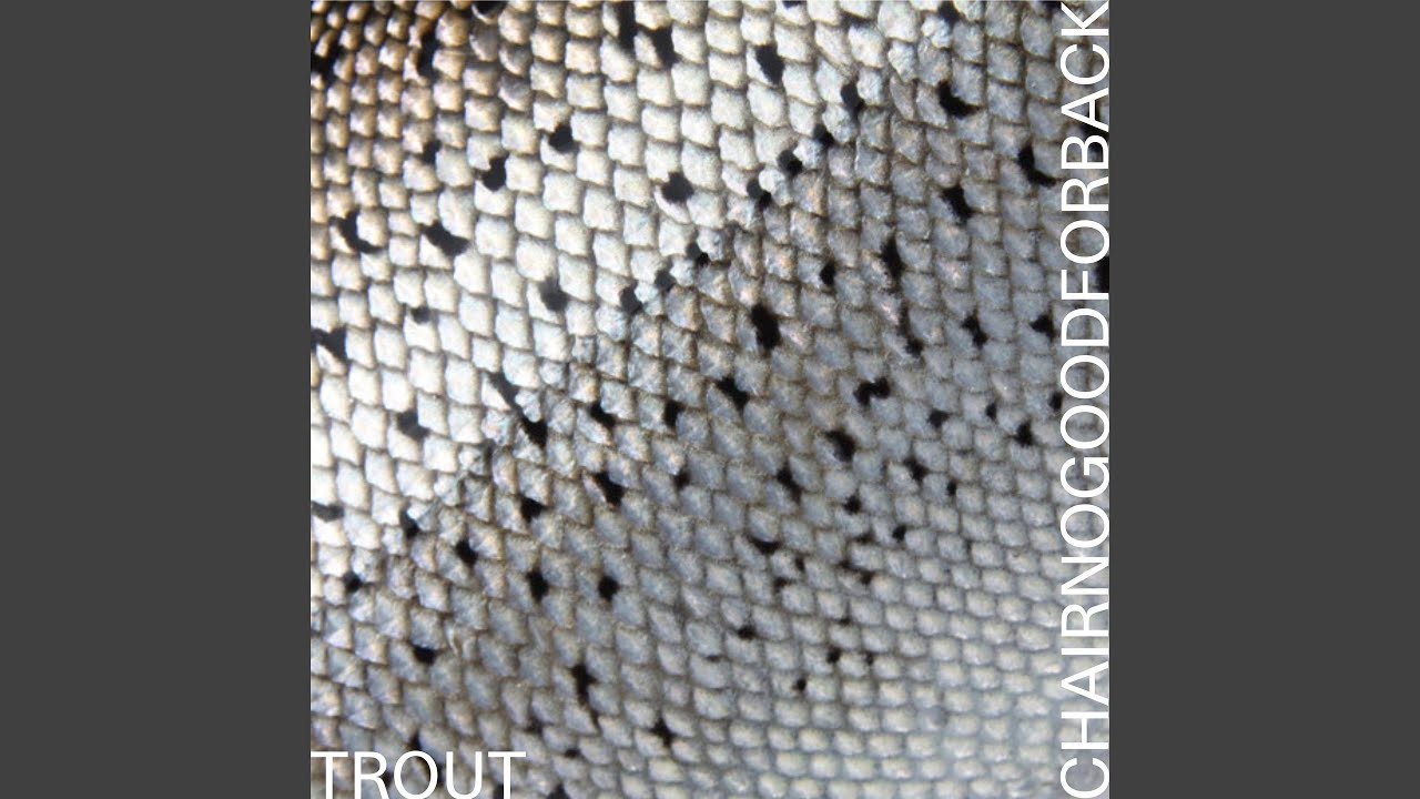 Watch Trout on YouTube Watch Trout on YouTube
