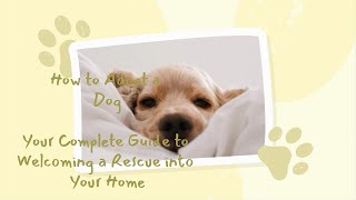 How to Adopt a Dog: Your Complete Guide to Welcoming a Rescue into Your Home