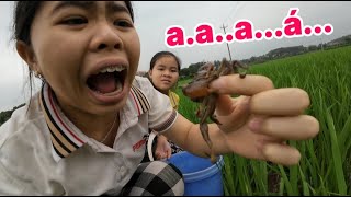 Catching crab in land • Đi Bắt Cua Ngoài Ruộng • Lộc TiVi