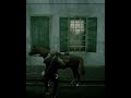 Red Dead Redemption 2 | Fatherhood And Other Dreams | Story Walkthrough | GTX | 4K 60 FPS 6