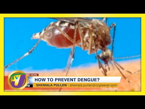 How to Prevent Dengue? TVJ News - May 5 2021