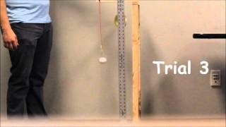 Egg Bungee Jump