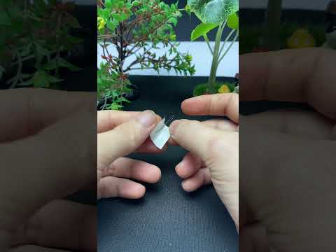 Ingenious ideas in