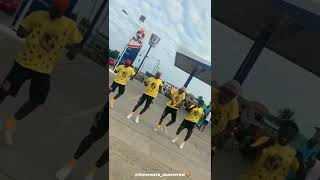 Celebrity King Promise - Chop Life ft Patoranking by The New Era Dance Crew 🦁 Net Worth
