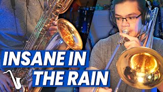 Video thumbnail of "insaneintherainmusic - Insane In The Rain (Insane In The Rain)"