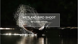 Nature Photography - Wetland Bird Shoot - My Local Patch
