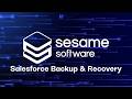 Stop Relying on Salesforce Exports | Real Backup &amp; Recovery Demo