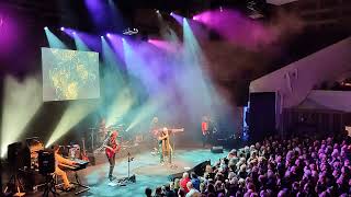 Fish  Vigil  In A Wilderness Of Mirrors 