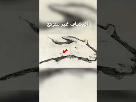 التشوباكابرا موجود بالفعل 