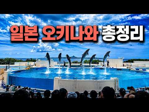 오키나와 여행 총정리🇯🇵 초심자라면 개이득인 꿀팁 가이드｜교통·숙소·버스투어·츄라우미 총정리·오키나와 필수먹거리