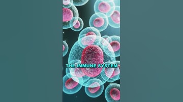 Scientists Hack Immunity