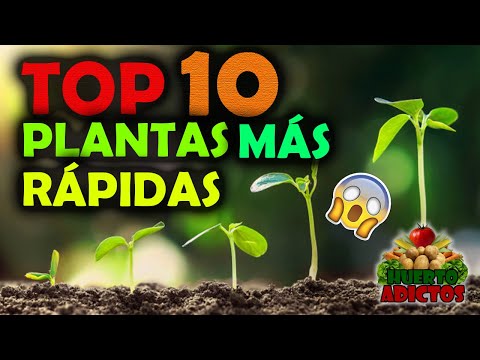 Los 10 Cultivos Que Crecen Más Rápido 🌱Huertos Urbanos | Huerto Adictos