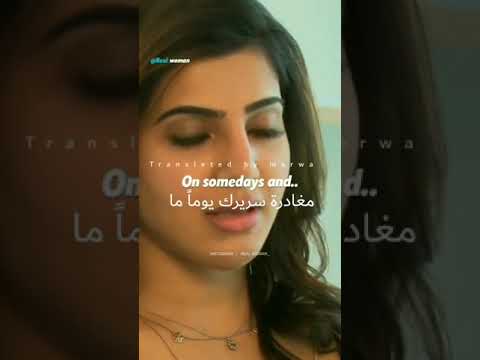 It S Never Too Late لم يفت الأوان بعد 