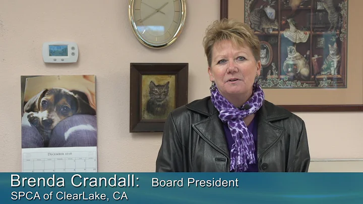 Brenda Crandall's Presentation: Lucero's Personal ...