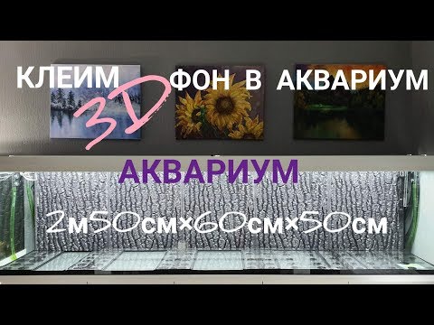 Фон 3D Juwel в аквариум на 750 литров. Часть 13.