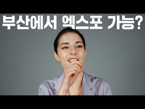 | 외국인들이 말하는 부산 (2030 부산엑스포 <strong>세계박람회</strong>)