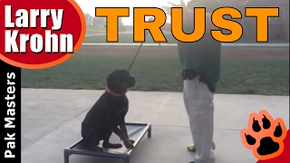 How to build confidence and trust with ANY DOG  Rottweiler Training